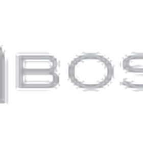 Boss Professional Services is hiring for work from home roles