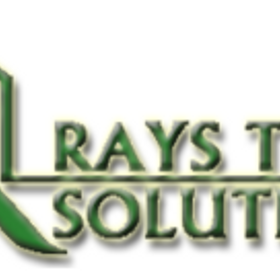 Rays Techsolutions Inc. is hiring for work from home roles