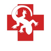 The Amphibious Group is hiring for remote On Call Coordinator I - Spanish