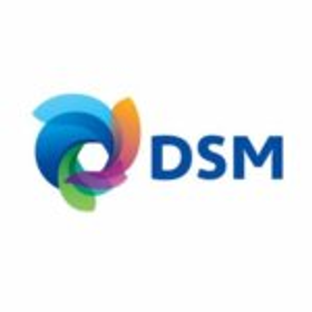 DSM logo