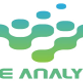 Codeanalytiqa Consultancy and Services Private Limited is hiring for work from home roles