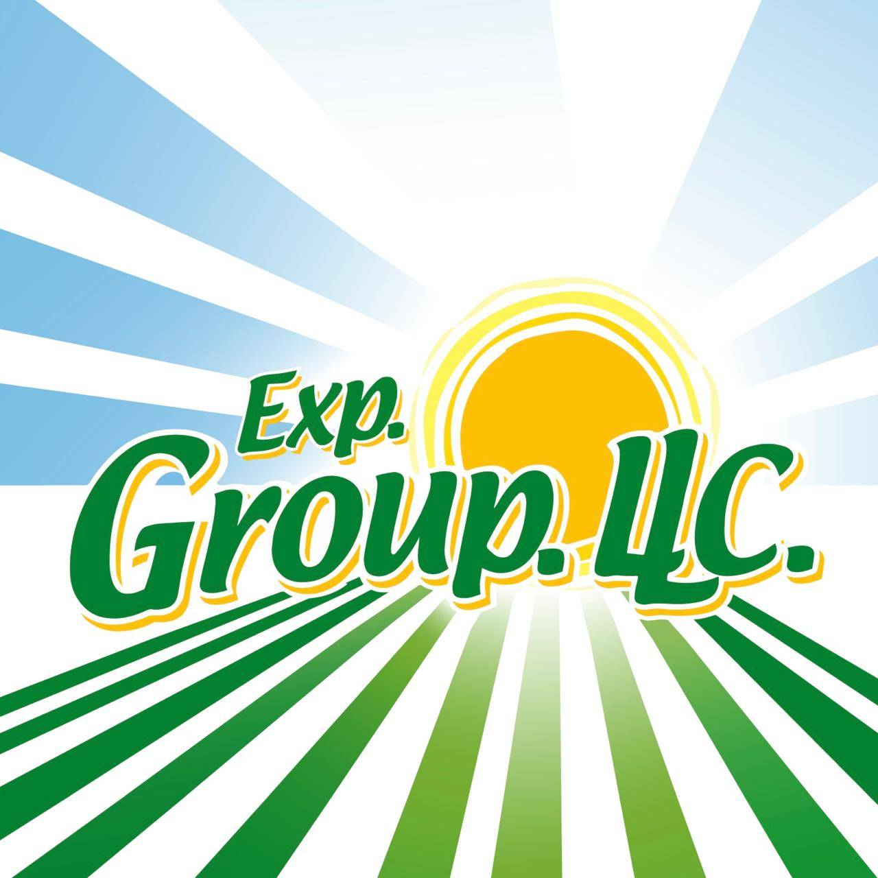 Exp. Group. LLC is hiring for remote Remote Controller