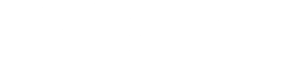 Fool's Theory logo