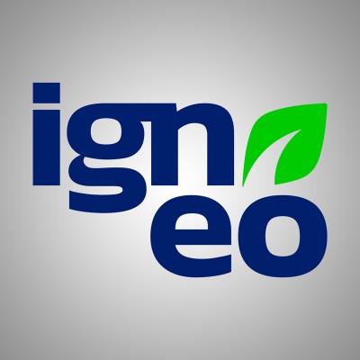 Grupo igneo is hiring for work from home roles
