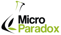 Micro Paradox is hiring for remote Influencer Outreach Coordinator