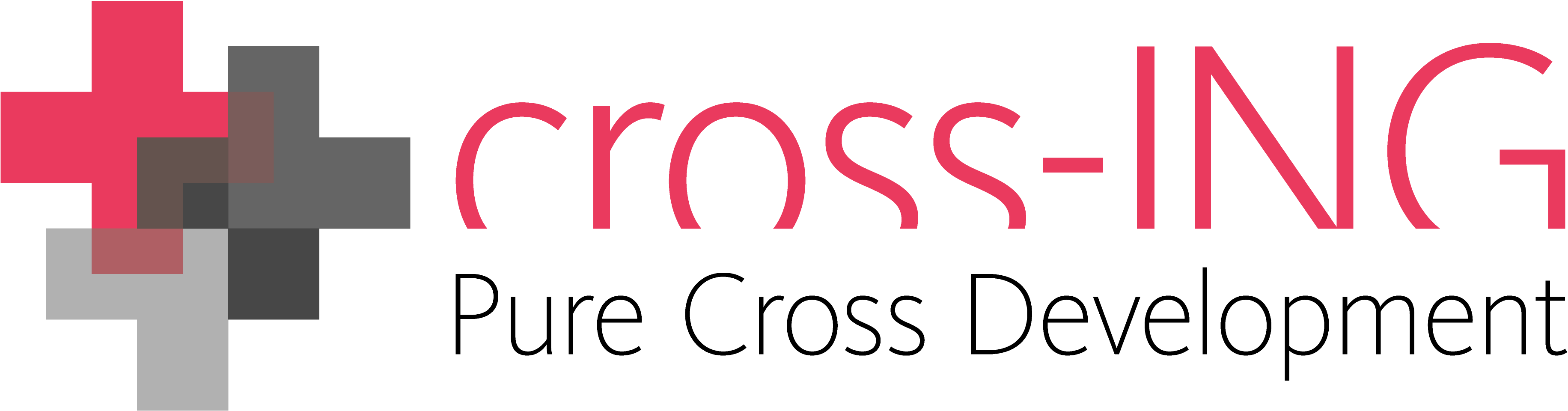 cross-ING AG is hiring for remote Sales Manager:in