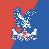 Crystal Palace F.C. is hiring for remote National Academy Scout (Part-Time)