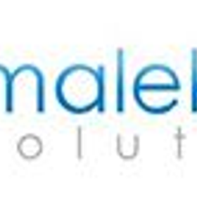 Malektron Solutions is hiring for work from home roles