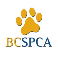 The British Columbia Society for the Prevention of Cruelty to Animals (BC SPCA) is hiring for remote Animal Protection Specialist 