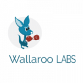 Wallaroo Labs is hiring for work from home roles
