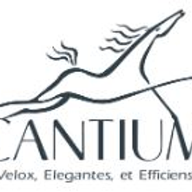 Cantium LLC is hiring for work from home roles