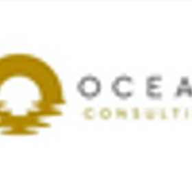 Ocean Consulting Limited is hiring for work from home roles