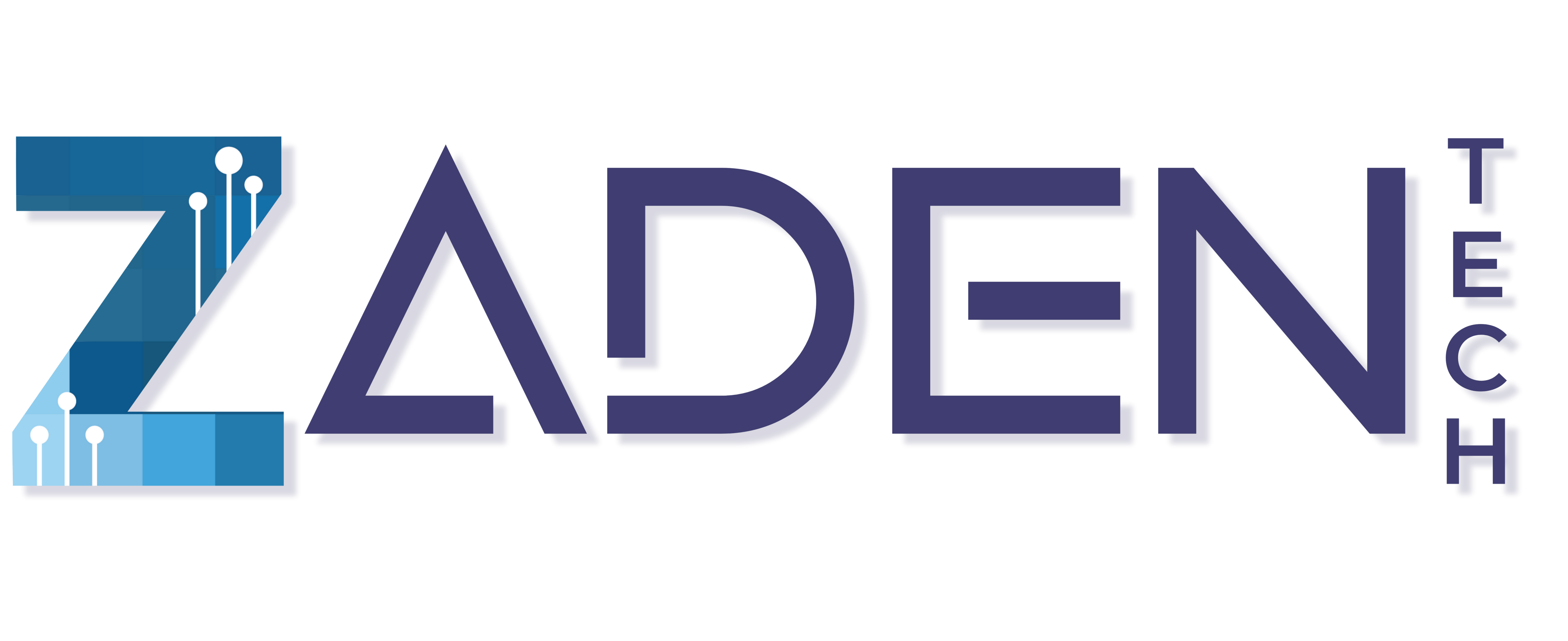 Zaden Tech is hiring for remote Technical Product Manager