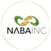 National Association of Black Accountants, Inc. is hiring for remote Director, Finance & Accounting