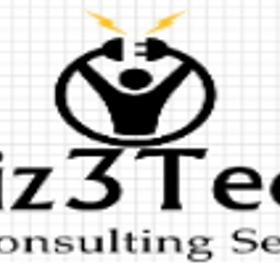 Biz3Tech is hiring for work from home roles