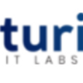 Turing IT Labs is hiring for work from home roles
