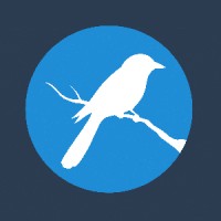 Magpie Health Analytics is hiring for remote Full Stack Developer