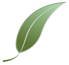 Smartleaf logo