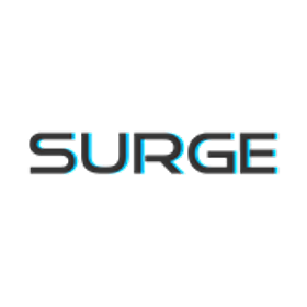 Surge is hiring for work from home roles