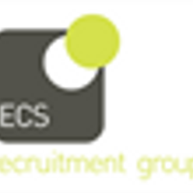 The ECS Group Limited is hiring for work from home roles