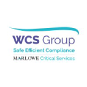 WCS Group is hiring for work from home roles