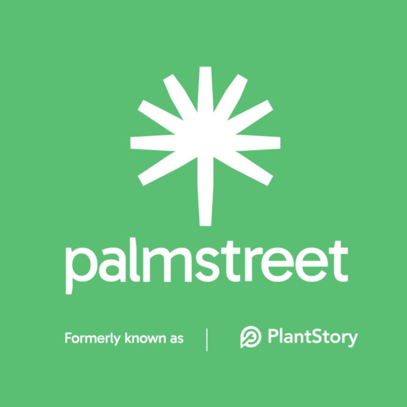 Palmstreet is hiring for remote Influencer Growth Manager