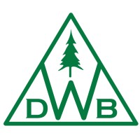 DWB Consulting Services Ltd is hiring for remote  Backend Developer