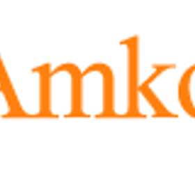 Amko Soft is hiring for work from home roles