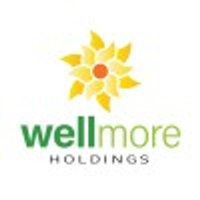 Wellmore Holdings is hiring for remote Ecommerce Marketing Manager