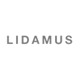 Lidamus is hiring for work from home roles