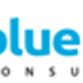 Blue Rock Consulting is hiring for work from home roles