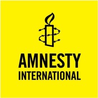 Amnesty International USA is hiring for remote Director, Digital Fundraising