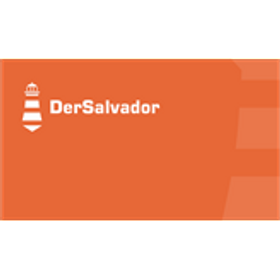 DerSalvador GmbH is hiring for work from home roles