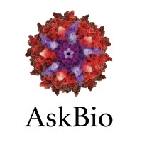 AskBio Inc. is hiring for remote Director, Regulatory Affairs