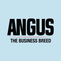 American Angus Association is hiring for remote Photo Coordinator