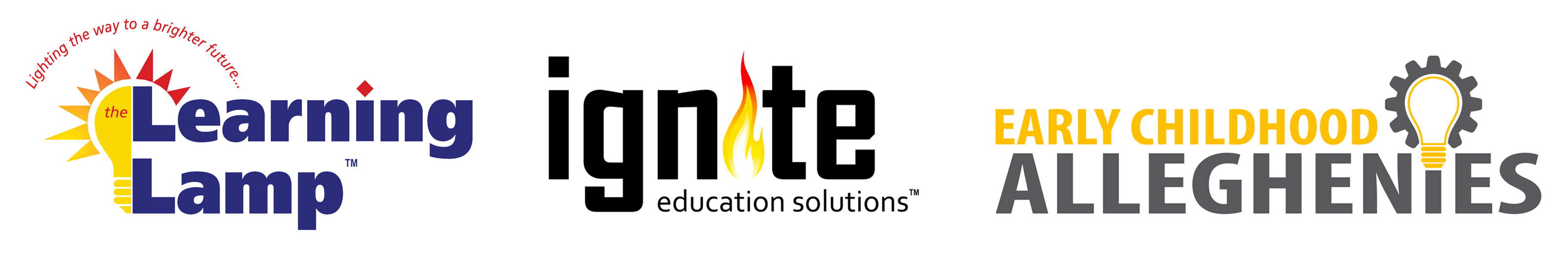 The Learning Lamp is hiring for remote Online Physics Teacher