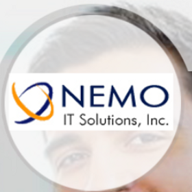 Nemo IT Solutions is hiring for work from home roles