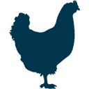 Stonegate Farmers is hiring for remote Rearing Support Manager