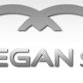 MeganSoft is hiring for work from home roles
