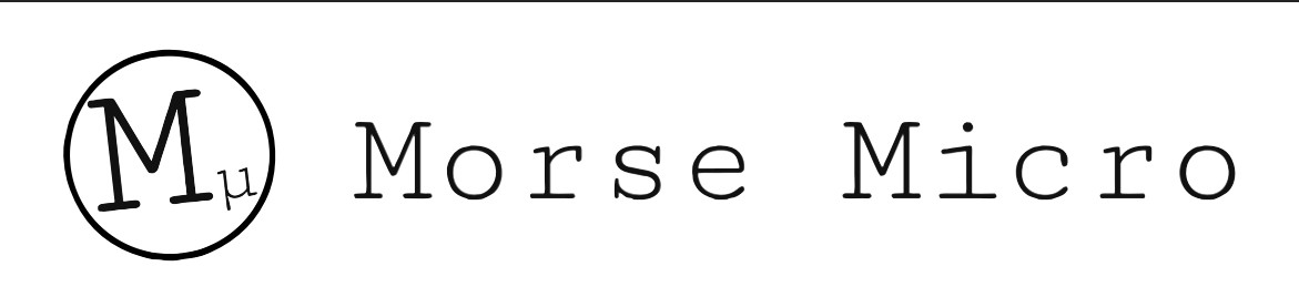 Morse Micro is hiring for remote Director of Sales, South America