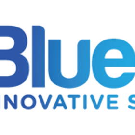 Blue Sky Innovative Solutions LLC is hiring for work from home roles