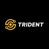 TRIDENT SYSTEMS LLC is hiring for remote Chief Advanced Concept Engineer