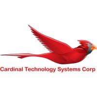 Cardinal Technology Systems, Corp. is hiring for remote Government Financial Functional Analyst