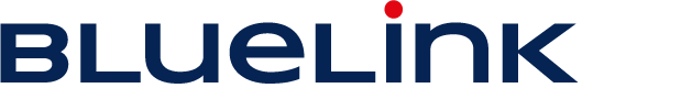 Blue Link is hiring for remote Airline Customer Success Advisor with Polish
