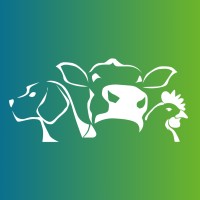 Pasado's Safe Haven is hiring for remote Client Coordinator - Pierce County
