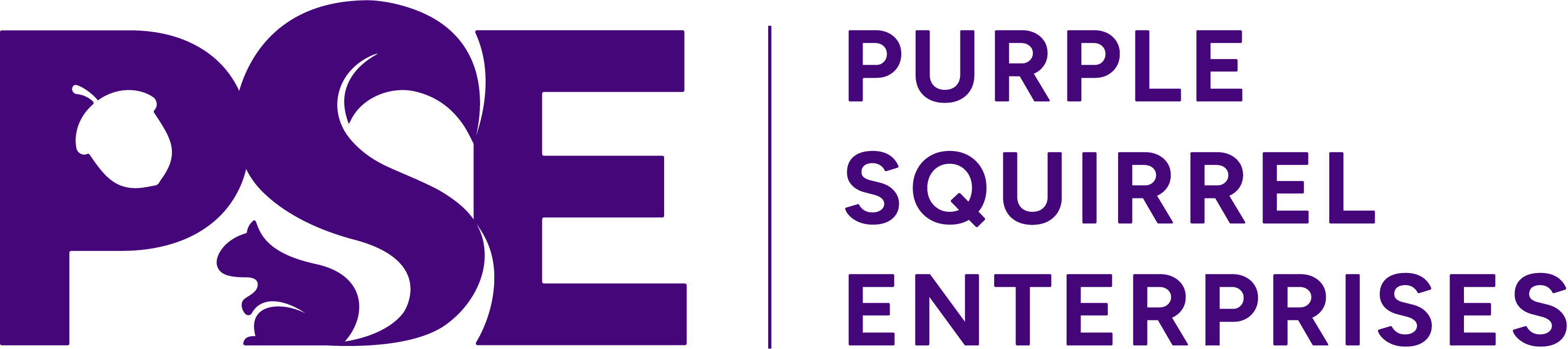 Purple Squirrel Enterprises is hiring for remote Customer Success Manager – Strategic Accounts