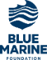 BLUE MARINE FOUNDATION is hiring for remote Senior Investigator