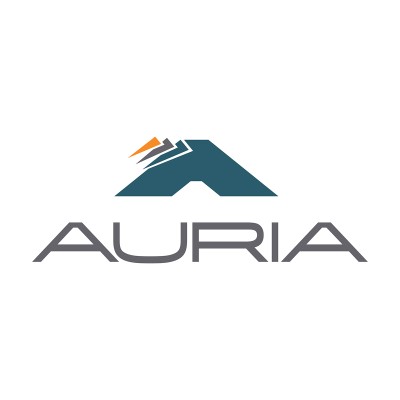 Auria Solutions is hiring for remote Sr. Program Buyer (m/w/d)