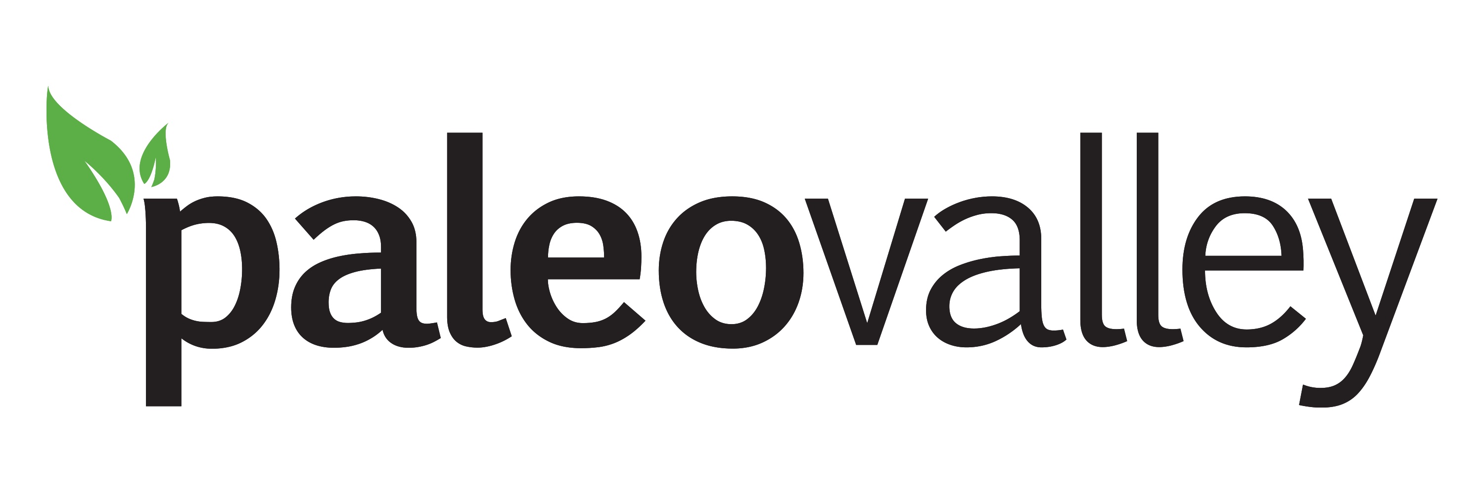 Paleovalley is hiring for remote GENERAL INTEREST APPLICATION