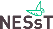 NESsT Inc is hiring for remote Intern – Development Operations (NESsTER Program)